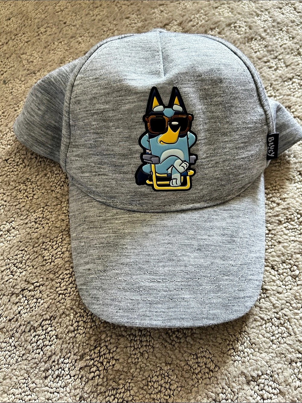Bluey Graphic Hat in Heathered Gray NWOT